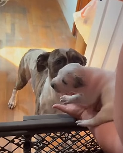 Stella ficou radiante ao reencontrar sua família.