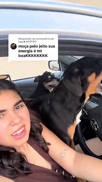 Um segundo cão também pulou para dentro do carro.