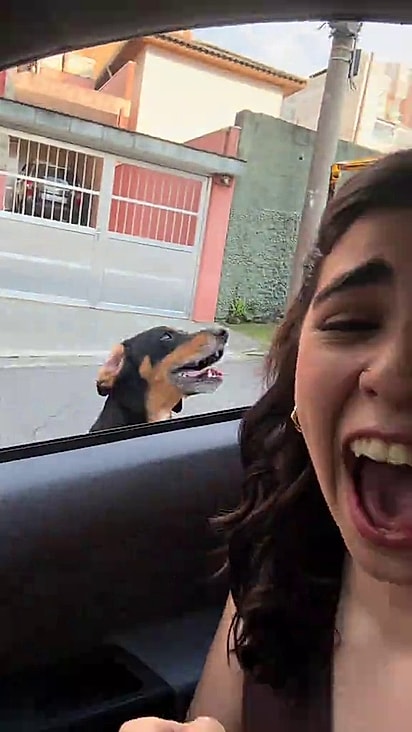 A dupla é acostumada a pular o muro de casa.