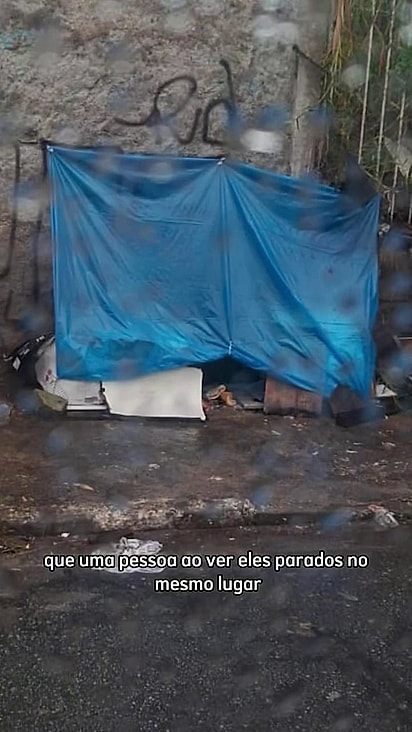 Os cães foram colocados na rua.