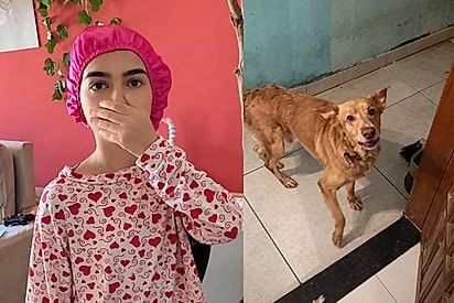 Pai é rejeitado pela própria família após remover barba - eis que ele decide ver reação do seu cachorro.