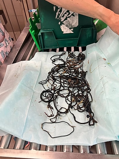 Elásticos de cabelo retirados de Malcom