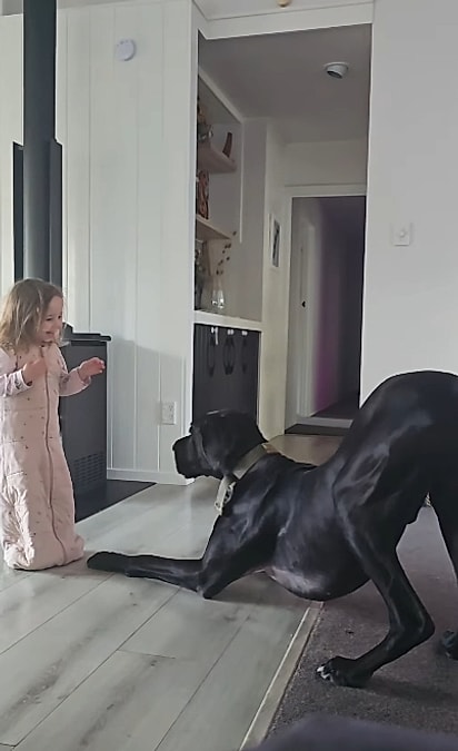 Luci chamando Amélie para brincar.