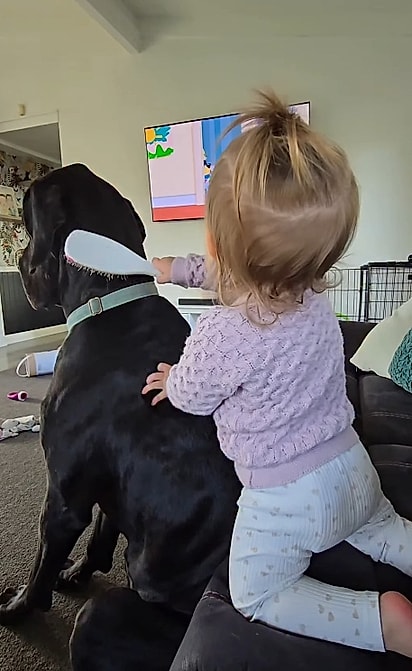 Amélie escovando o amigo. 