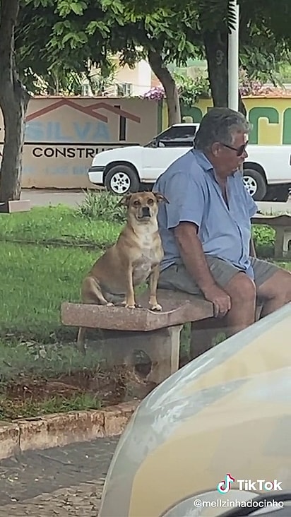 Ela faz amizade com uma grande facilidade.