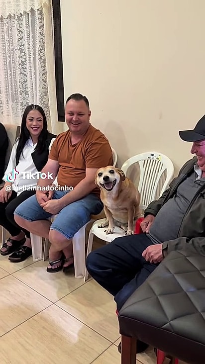 Mell é muito sociável.