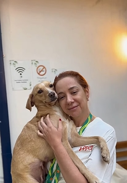 Lady é uma cachorrinha muito carinhosa.