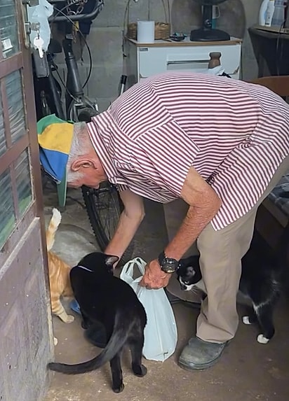Senhor Augusto cuidando de seus gatinhos.