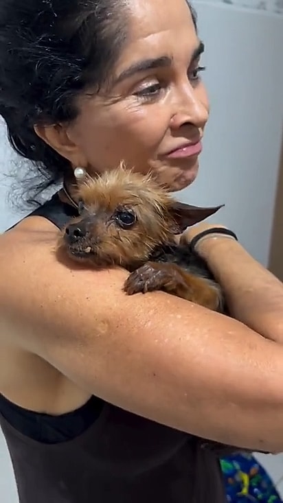 Atchim é descrito como um cãozinho carinhoso. 