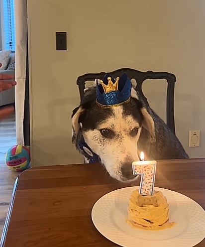 Atualmente, Bruno tem 7 anos.