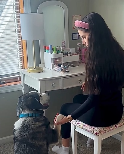 Bruno é o cão da alma gêmea da menina.
