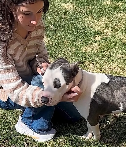 Elas conseguiram um lar para Nyla.