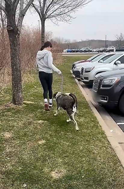 A menina pediu para passear com o cão, mas acabou o levando para casa.