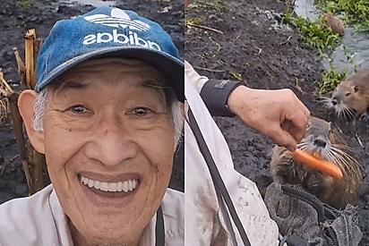 O “bom dia” do Sr. Seiki: a rotina de agricultor de 70 anos com família de ratões-do-banhado que conquistou o Brasil