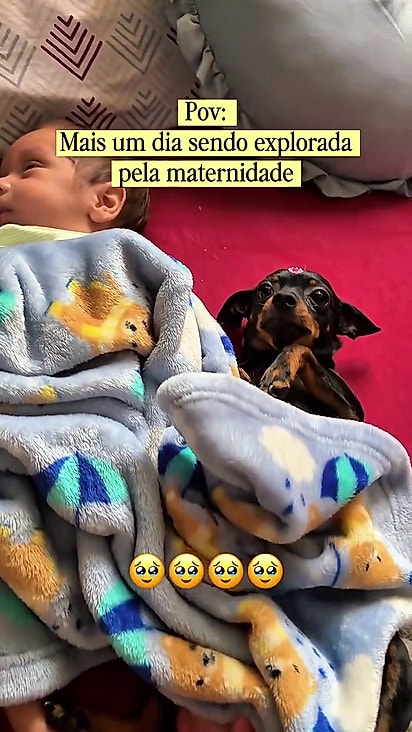 Kaléo e Chloe estão sempre juntos.