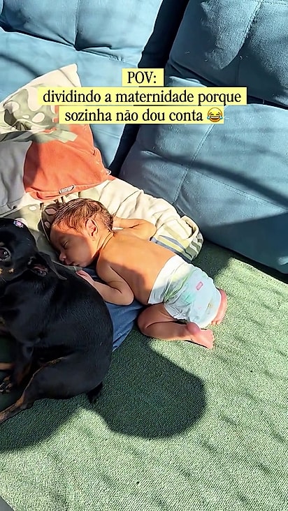 Kaléo estava tomando sol no sofá.