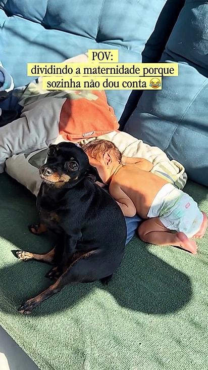 Chloe está sempre ao lado do bebê.