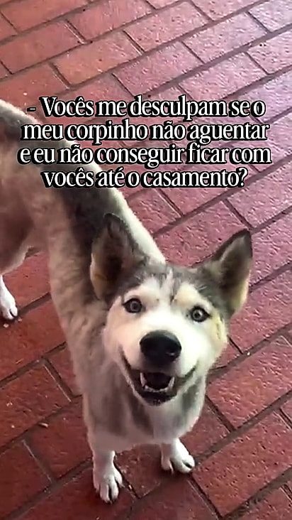 Ayla já tinha 12 anos e foi diagnosticada com bronquiopatia.