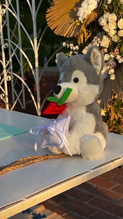 A cachorrinha foi representada com uma pelúcia.