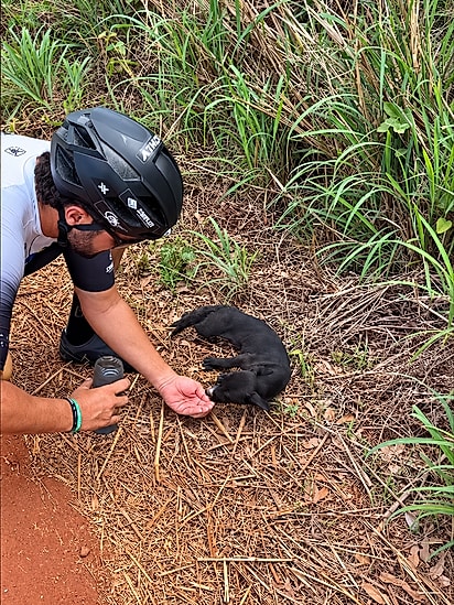 Deitado em meio à vegetação, o filhotinho recebeu os primeiros cuidados do ciclista