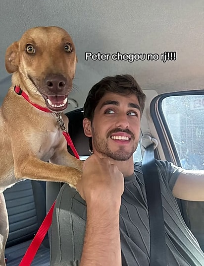 O casa fretou um táxi dog para levar Peter para o RJ.