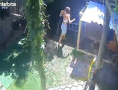 Duda espantando o lagarto.