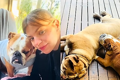 Em menos de uma semana, ela perdeu os dois cães.