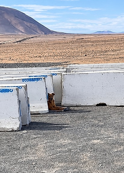 Milagros foi encontrada sozinha entre barreiras de concreto, em uma região desértica do Chile