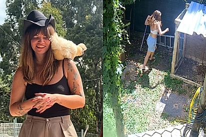 Jovem resolve criar galinhas em casa e passa a viver uma novela cheia de reviravoltas