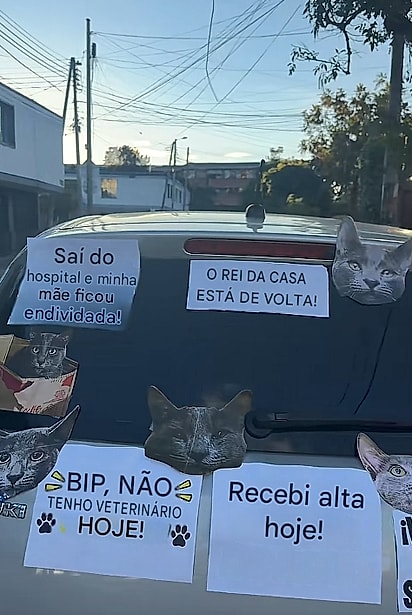 Marianny comemorou enfeitando o carro (textos traduzidos automaticamente com o Google Tradutor)