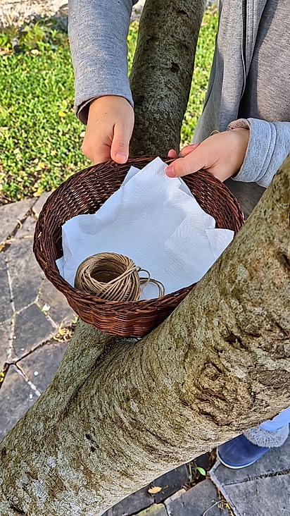 Com uma cestinha de vime, Ângela preparou um abrigo para os filhotes em uma árvore