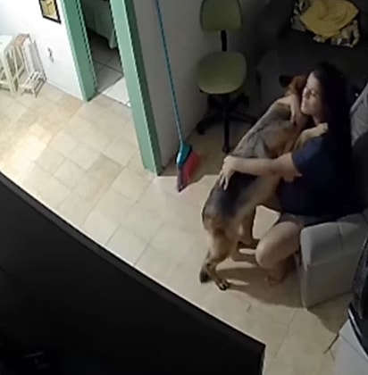 A cachorra Sol dando um abraço na tutora. 