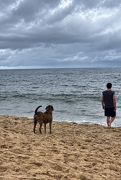 Durante as férias, Bronze acompanhava o casal nos passeios pela praia