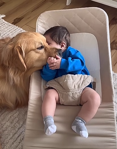 O menino Frankie, ainda bebê, abraçando o cão golden retriever. 