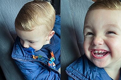 Mãe surpreende filho de 1 aninho com filhote de cachorro e reação do pequeno é a coisa mais linda de se ver.