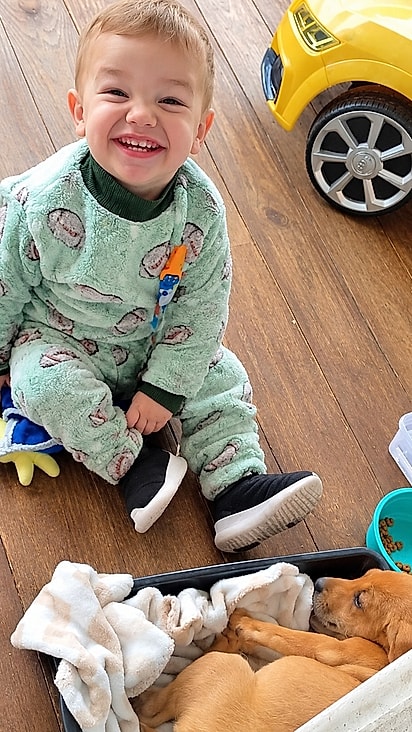 Benjamim ficou muito feliz com a nova amiga pet.