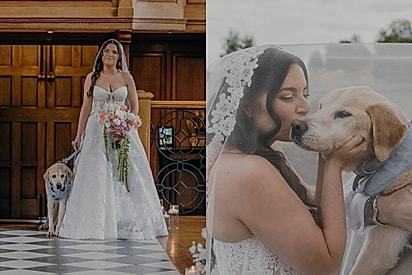 Aos 16 anos, labrador reúne forças para levar tutora ao altar e, dias depois, ela recebe a notícia mais triste.