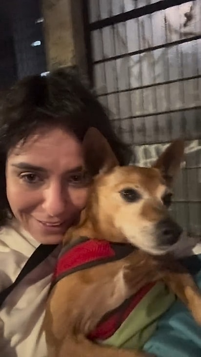 Aos 10 anos, o cão idoso Pedrinho deixou o abrigo no colo de Sâmia, sua nova tutora.