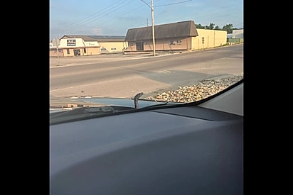 O réptil surgiu tranquilamente por entre os limpadores de para-brisa.