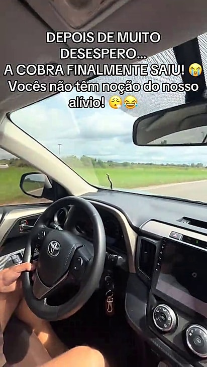 A cobra rastejou pelo vidro e desceu na rodovia.