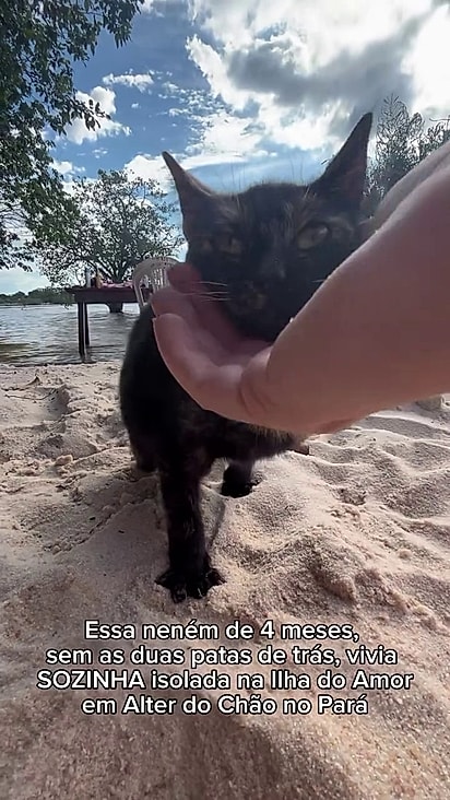 A gatinha ganhando carinho de Marlon na praia.