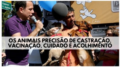 São Paulo se tornará Exemplo na Proteção e Defesa Animal (Veja o Vídeo)