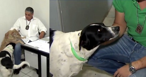 Cachorrinhos abandonados são adotados por policiais e viram xodó da delegacia <3