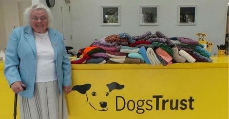 Idosa de 89 anos tricotou 450 cobertores para cães de abrigo