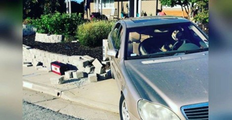 Vingança: cachorro deixado sozinho dentro de carro liga ele e o joga contra parede