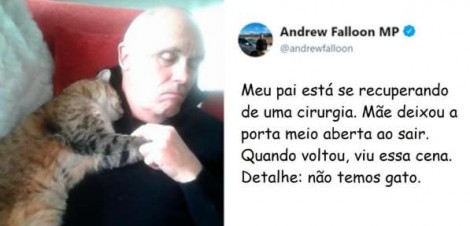 Idoso que se recuperava de cirurgia acorda com um gatinho lhe fazendo carinho