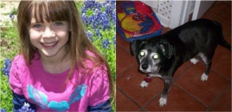Após morte do seu cachorro, criança de 4 anos envia carta para Deus pedindo que Ele o receba no céu e é respondida