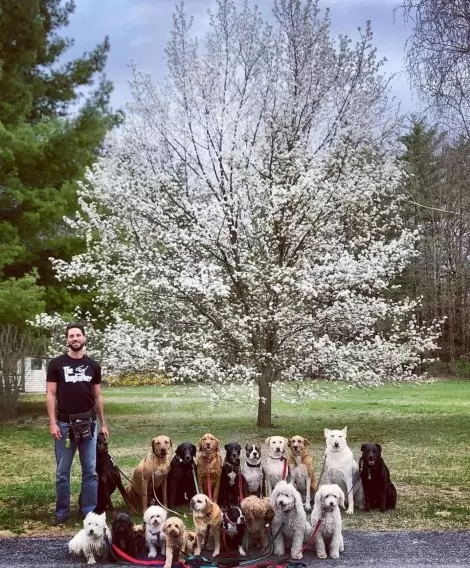 Foto: Instagram / saratogadogwalkers