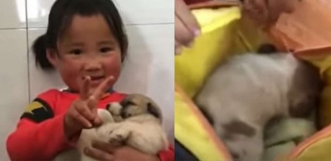 Menina chinesa de 4 anos encontra filhote de cachorro à caminho da escola e o esconde em mochila