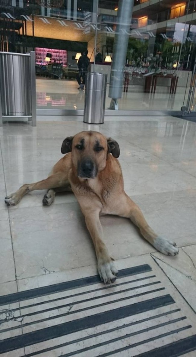 Rubio esperando pela volta de Olivia à Argentina
